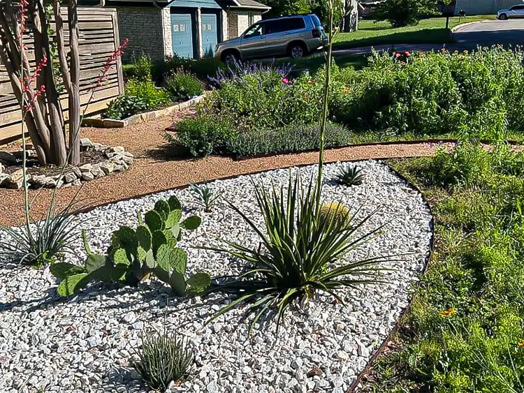 Front Yard Texas Native Landscaping Ideas