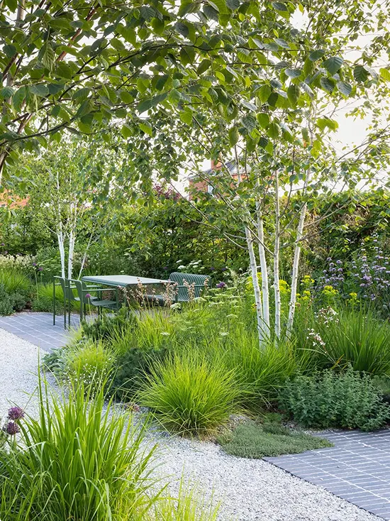 Birch Gravel Garden with Slate Edging