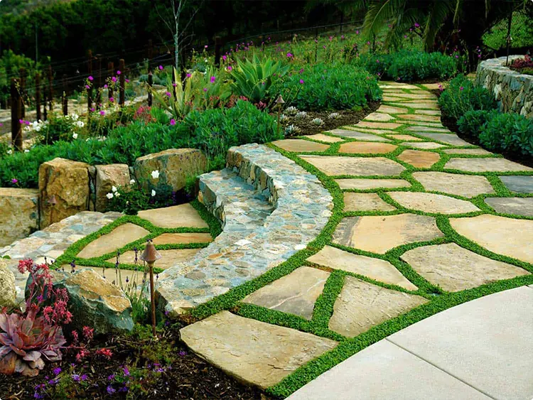 Creeping Cover Puzzle Path