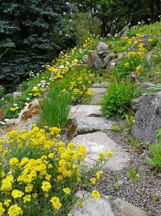 Natural Stone Hillside Path with Wildflowers and Boulders