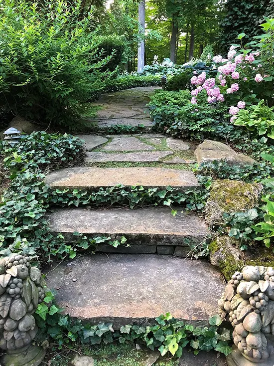 Pink hydrangeas and ivy at the garden steps