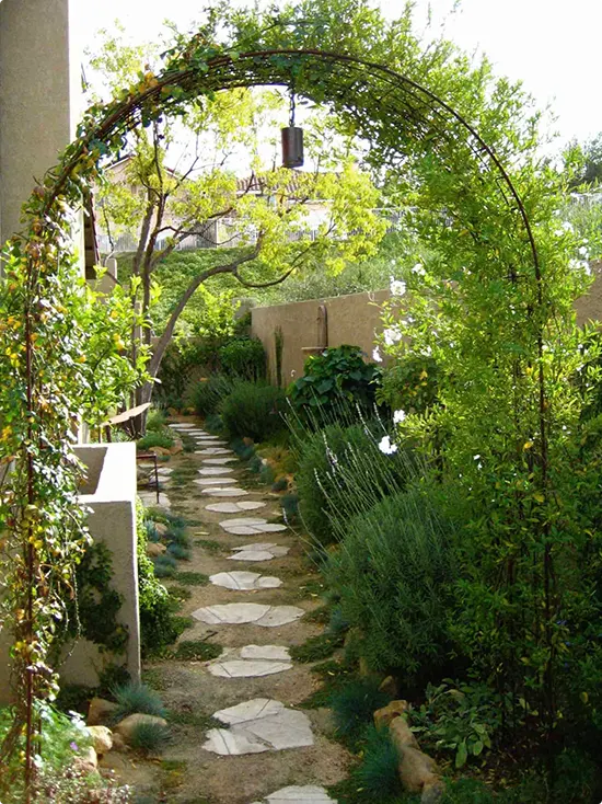 Stepping Stones Beneath a Vine Arch