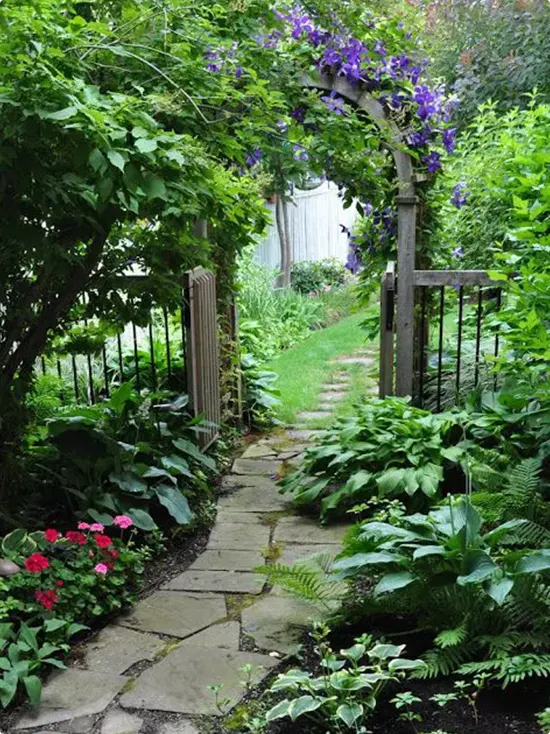 Stone Path with Purple Clematis and a Wooden Arbor