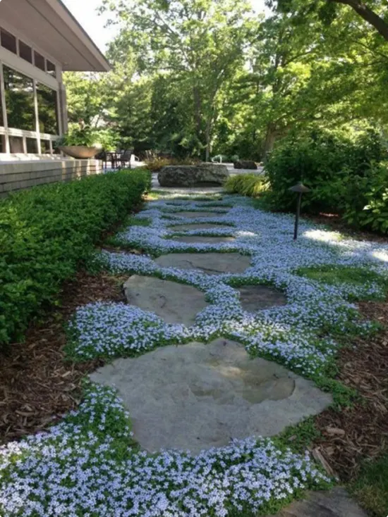 Stone Slab Garden Path with Blue Flowers