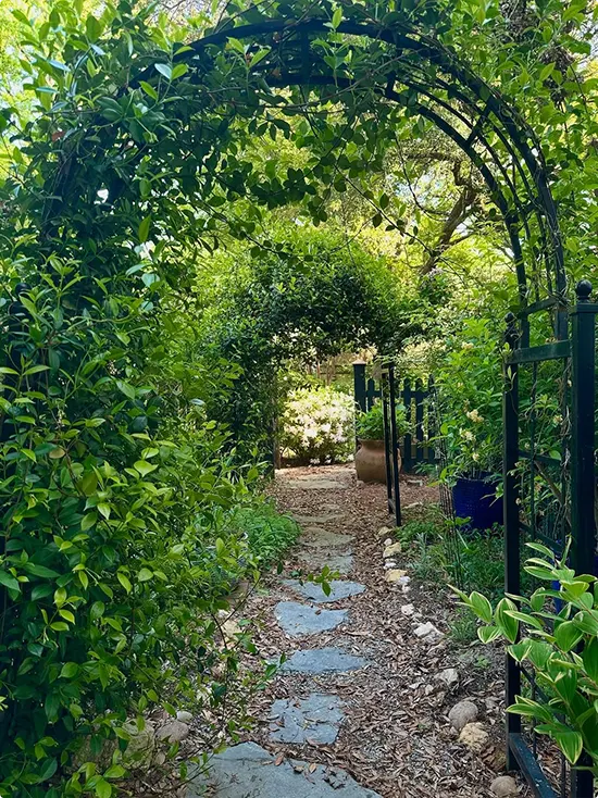 Vine Covered Garden Arch