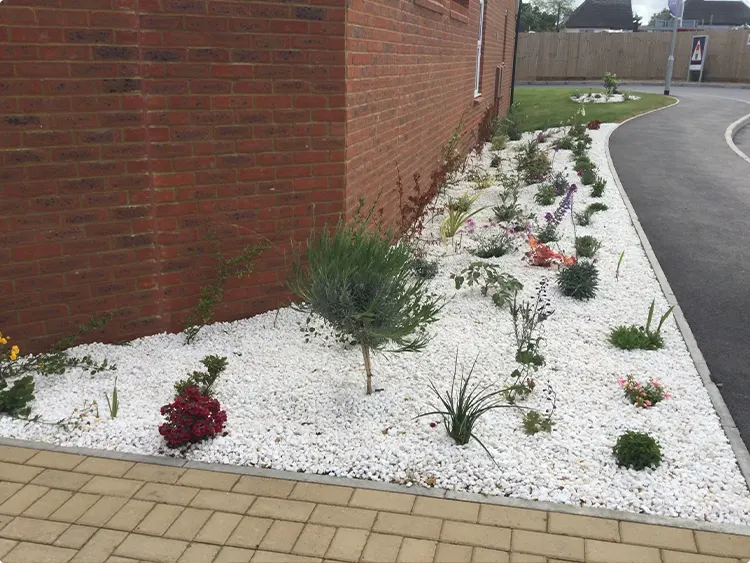 White Border Gravel Against Brick