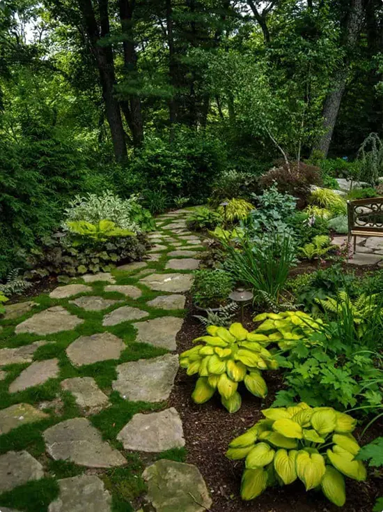Wide Moss-Filled Stone Path