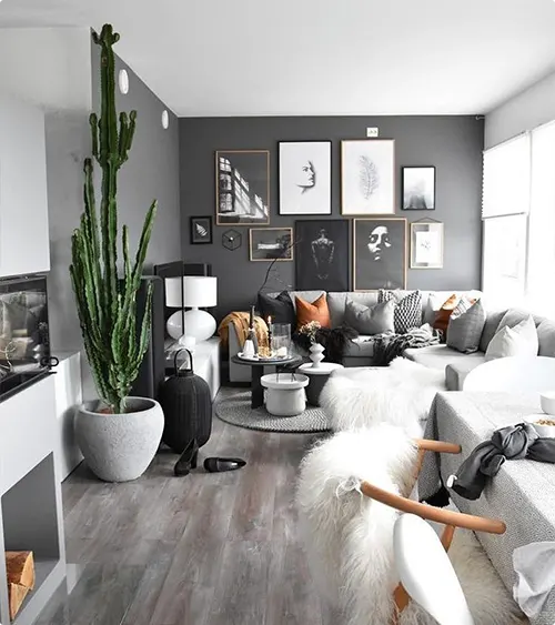 Dark Charcoal Mixed-Style Gallery Wall with Varied Frames and Tall Cactus