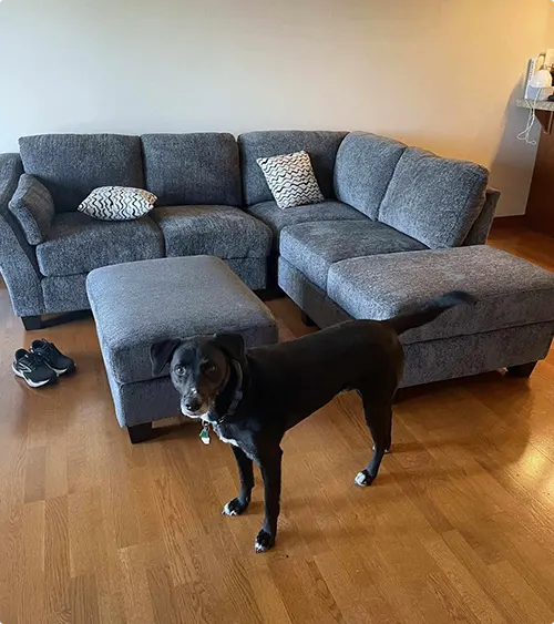 Pet-Friendly Practical Sectional Living Room