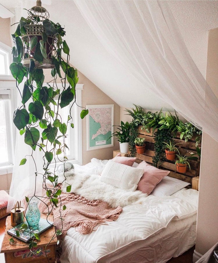 Aesthetic Bedroom with Plants