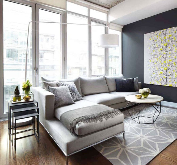 Apartment Living Room with Black Wall