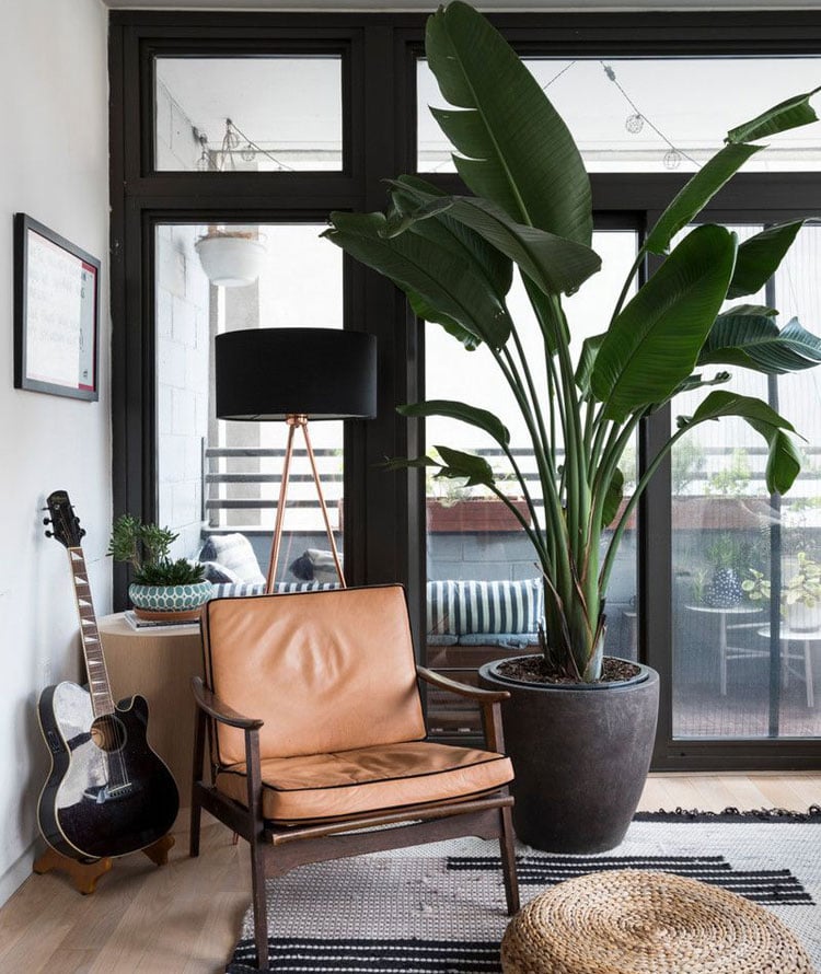 bachelor-pad-decorations Bachelor Pad Decorations