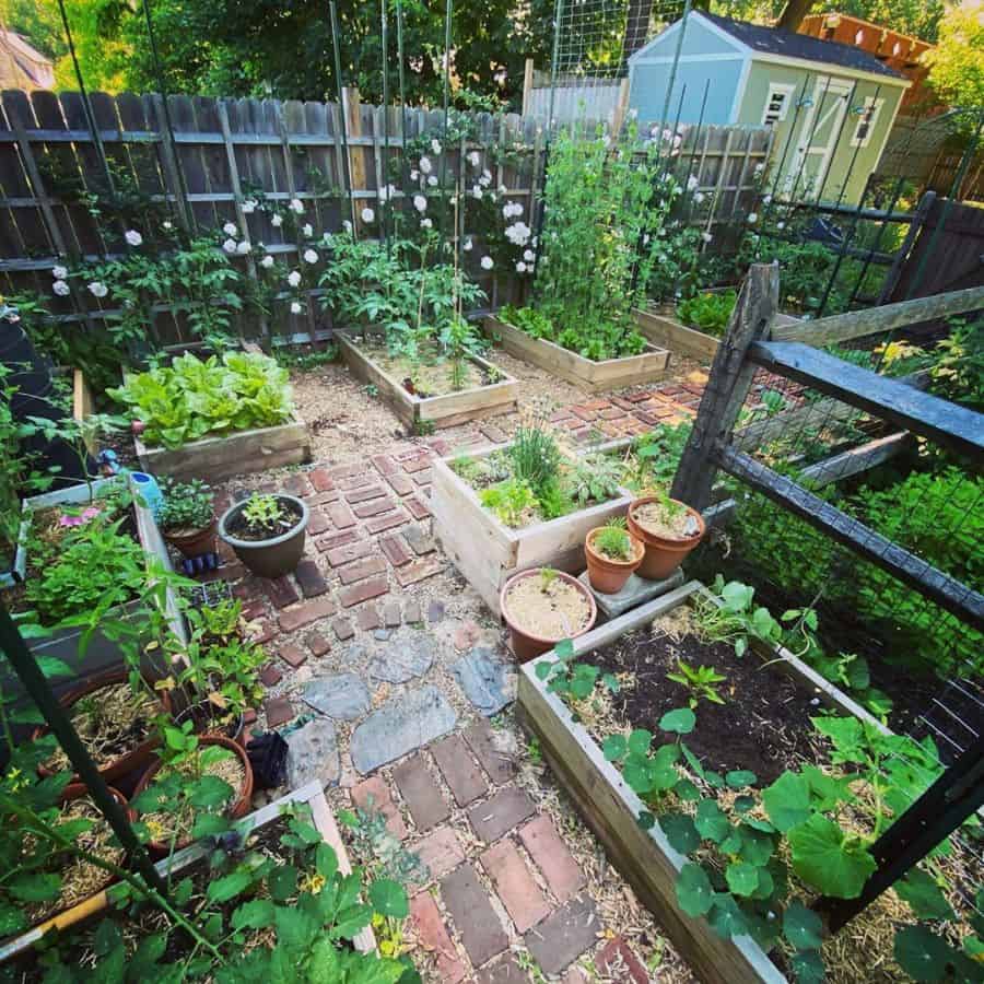 backyard garden with wood raised boxes