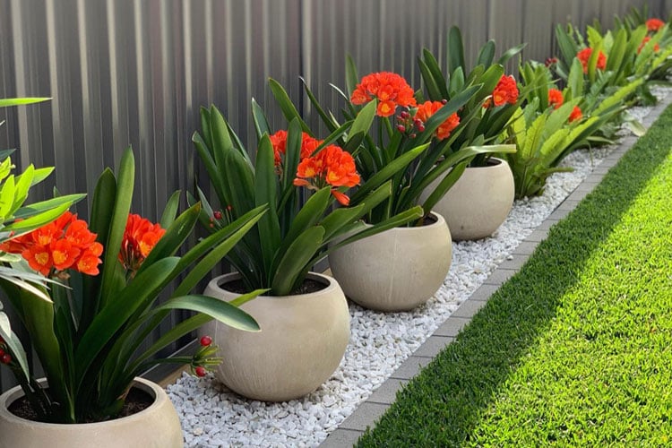 backyard-landscaping-with-potted-plants Backyard Landscaping with Potted Plants