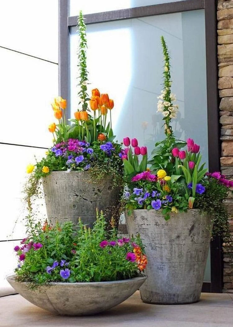 beautiful-front-door-flowers-with-concrete-planters Beautiful Front Door Flowers with Concrete Planters