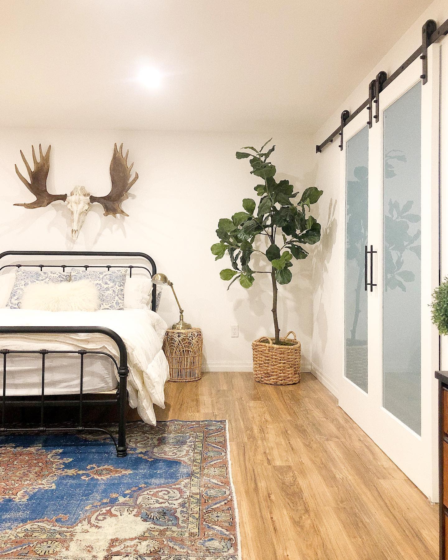 bedroom20basement20apartment20ideas20-mylittleshop_kingston Bedroom with metal bed frame, antler wall decor, large plant, and sliding barn doors.