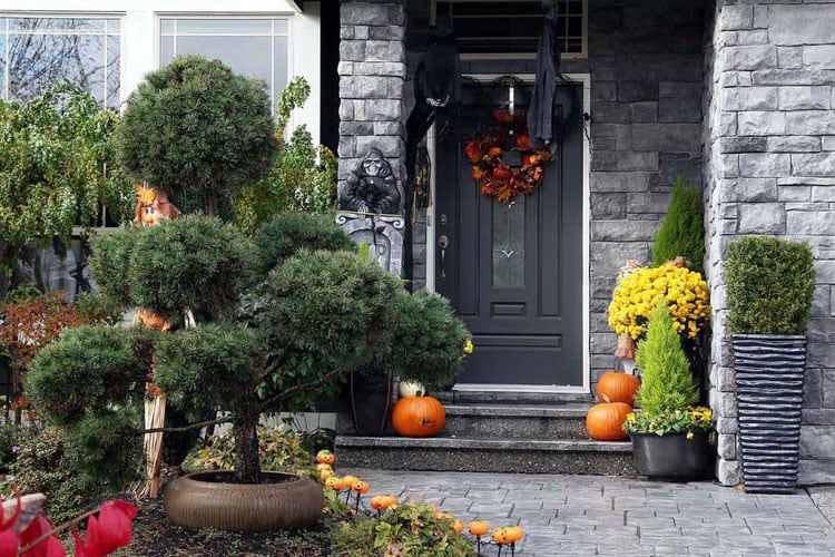 black-front-door-color-for-a-gray-house Black Front Door Color For A Gray House