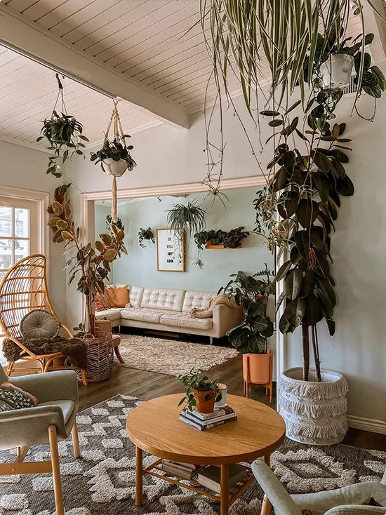 Cascading Ceiling Plants in a Living Room