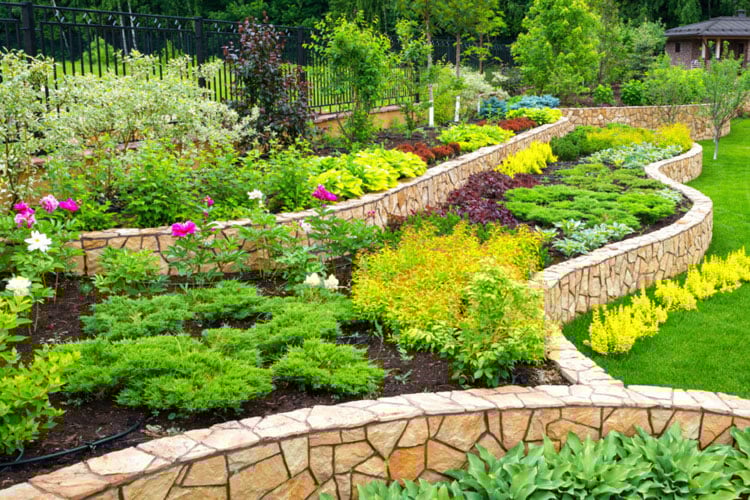 colorful-backyard-landscaping Colorful Backyard Landscaping