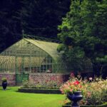 brick base green frame conservatory large backyard roses