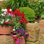 container garden stone fence