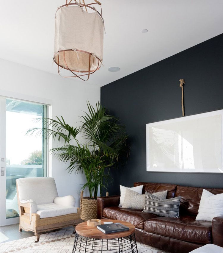 Contemporary Living Room with Black Wall