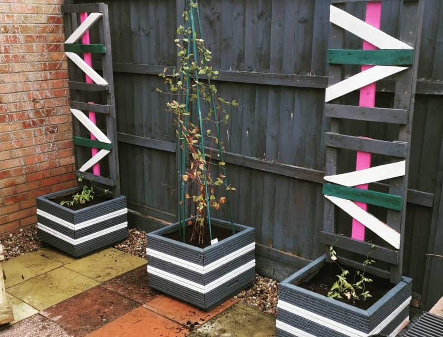 creative pallet garden