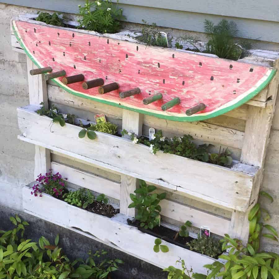 watermelon pallet garden
