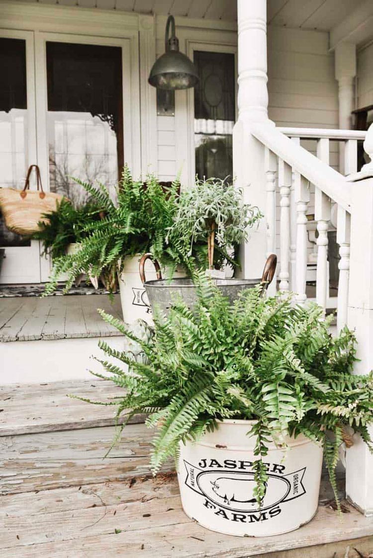 decorating-front-porch-planter-design-ideas Decorating Front Porch Planter Design Ideas