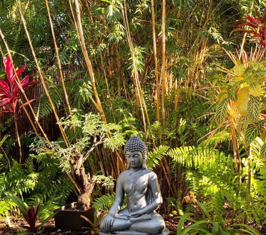 easy-diy-zen-garden-ideas-stylish-gardeners lush green garden with bonsai plant and meditating statue