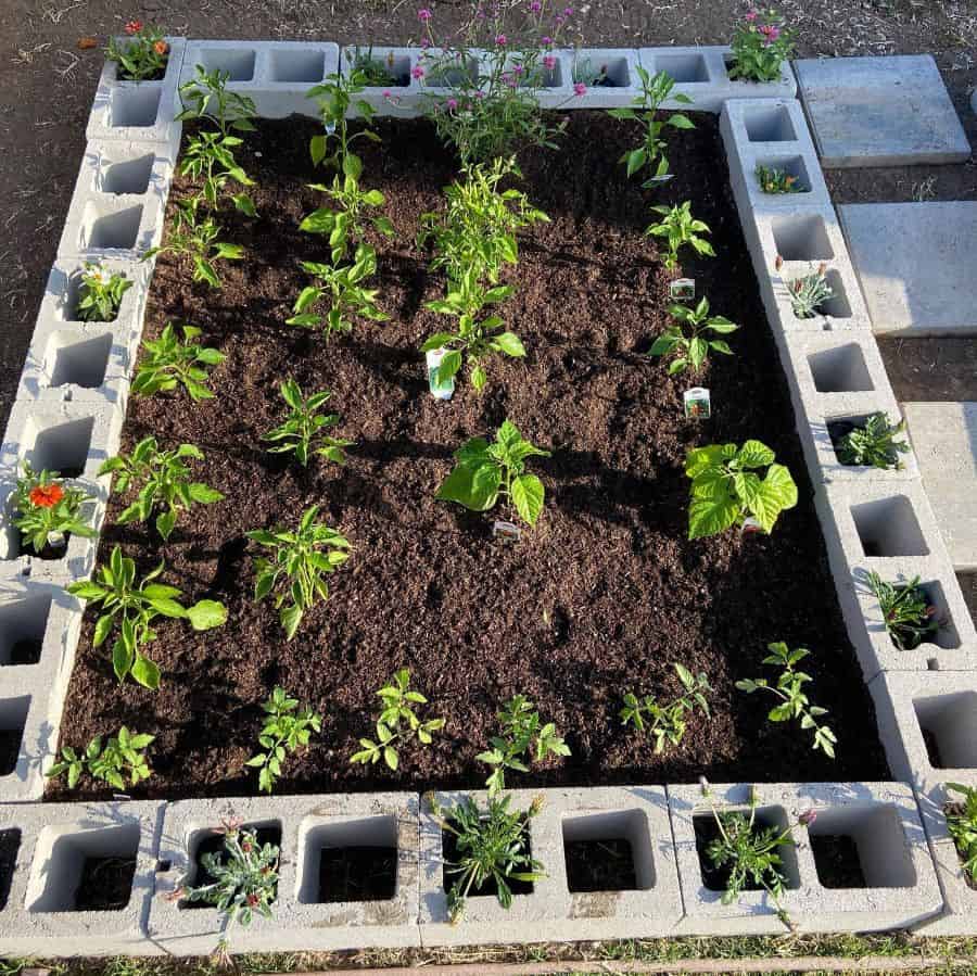 cement block raised garden bed