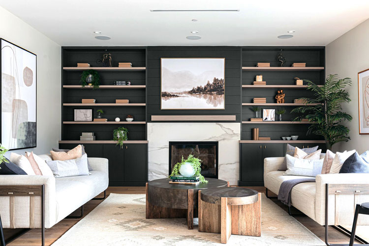 Elegant Living Room Decor For Guys