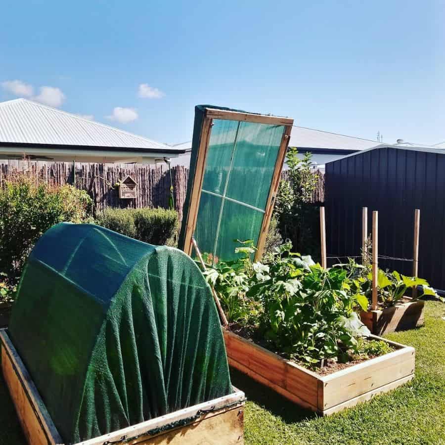 enclosed raised garden bed backyard