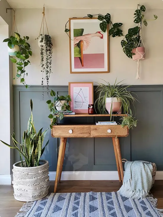 Entryway Plant Vignette