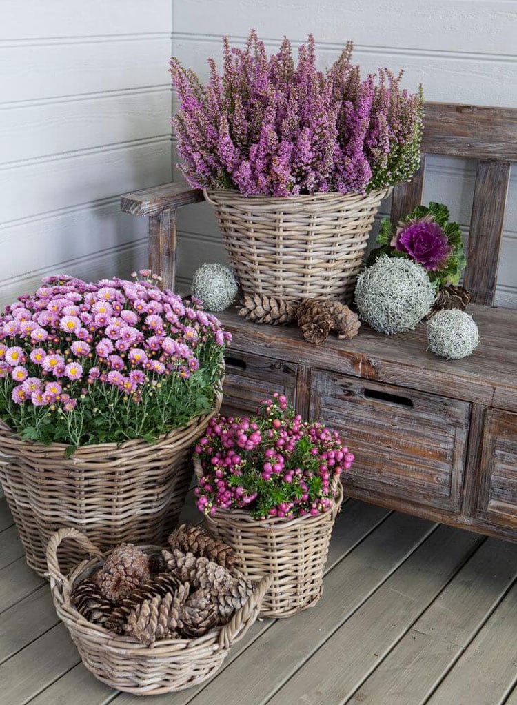 flower-pot-ideas-for-patio-with-bench Flower Pot Ideas For Patio with Bench