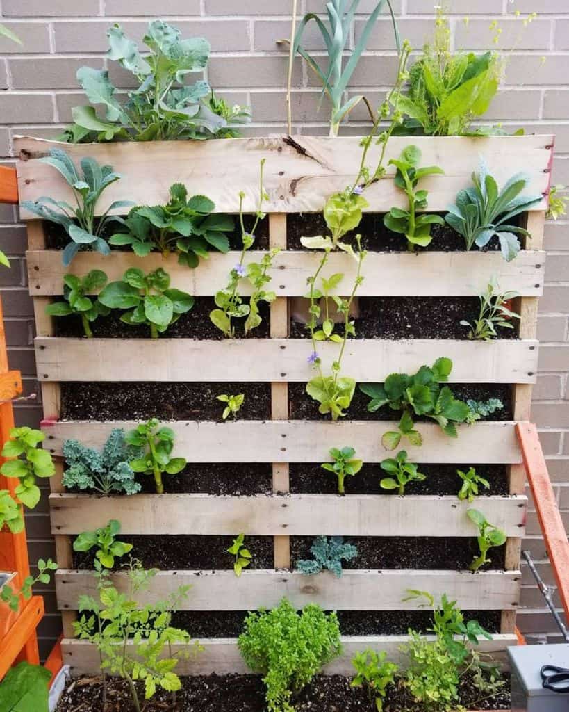 vertical freestanding pallet planter garden
