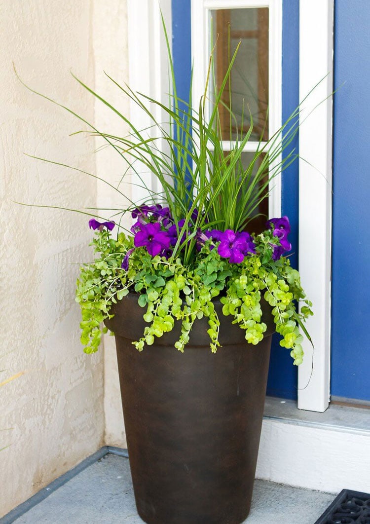 front-door-planter-ideas Front Door Planter Ideas