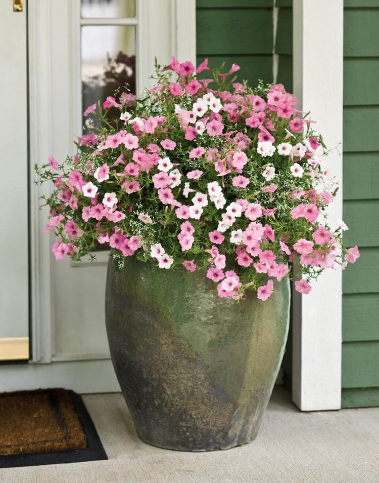 front-porch-flower-pot-arrangements Front Porch Flower Pot Arrangements
