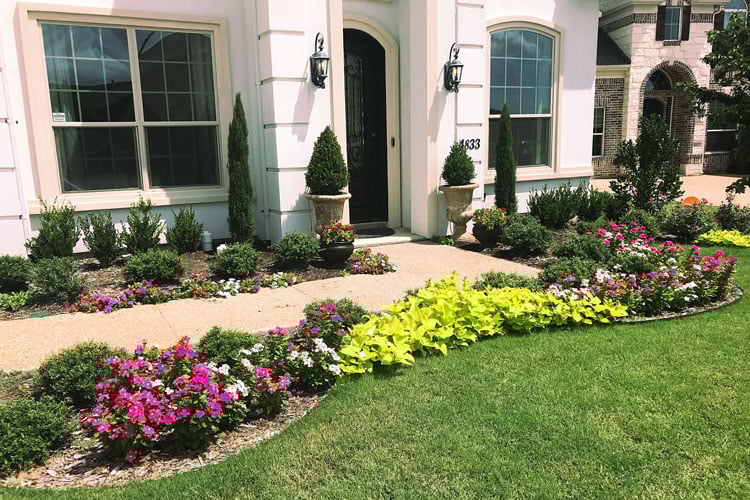 front-yard-low-maintenance-garden Front Yard Low Maintenance Garden