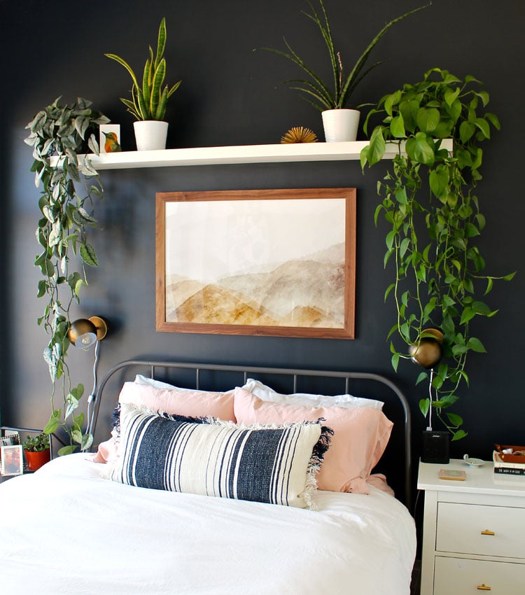 Glam Boho Bedroom with Black Wall Design