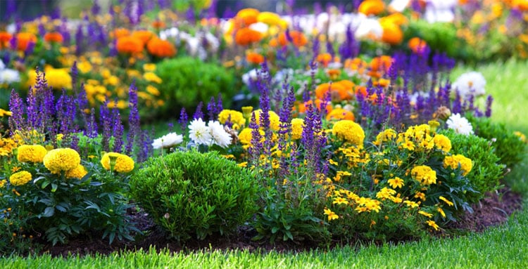 Pretty Flower Beds For Your Backyard