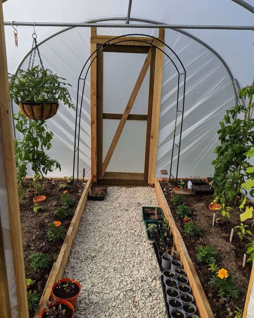 well maintained greenhouse vegetable garden