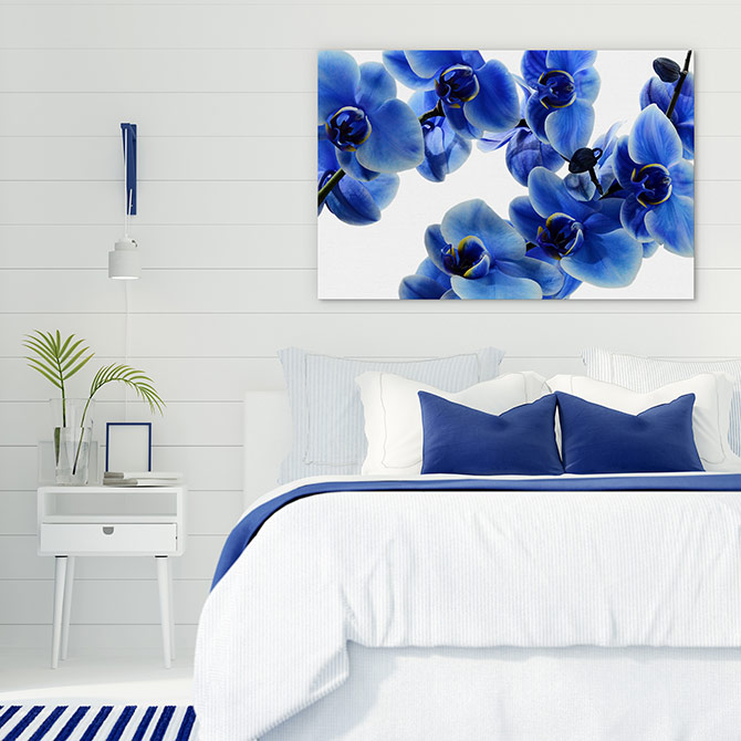 hamptons style colour