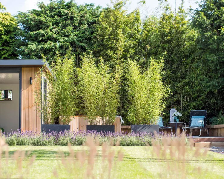 Hot Tub Privacy Screen with Plants