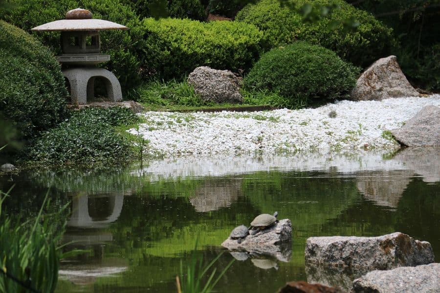 koi-pond-zen-garden-ideas-2 stone temple statue by koi pond with turtles