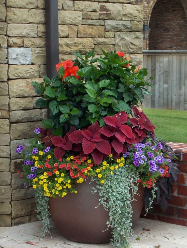 large-flower-plant-pots-by-the-front-of-the-house Large Flower Plant Pots by the Front of the House