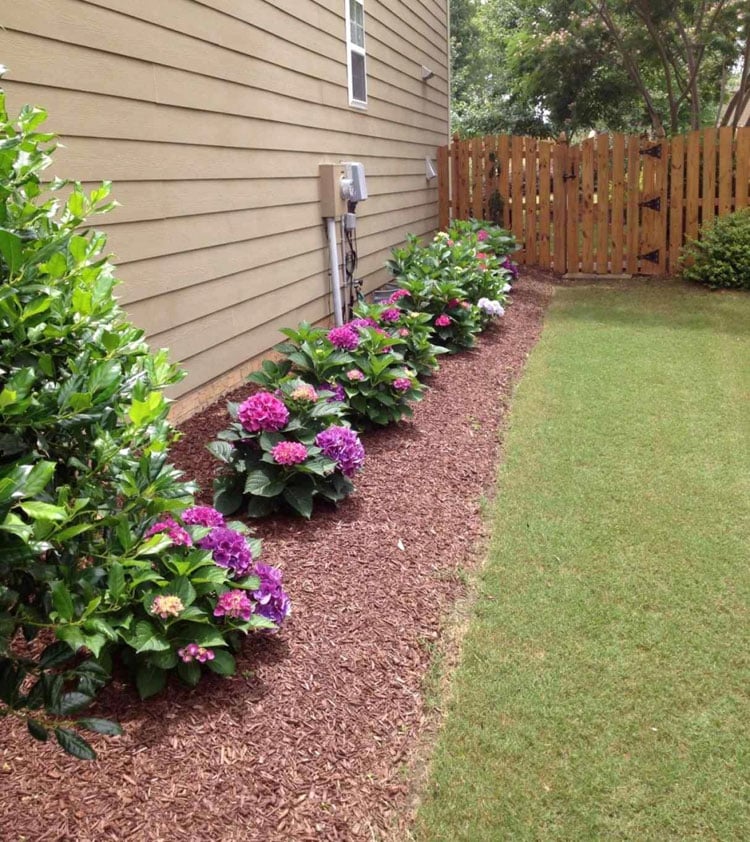 Line Up a Wall With Colorful Plants