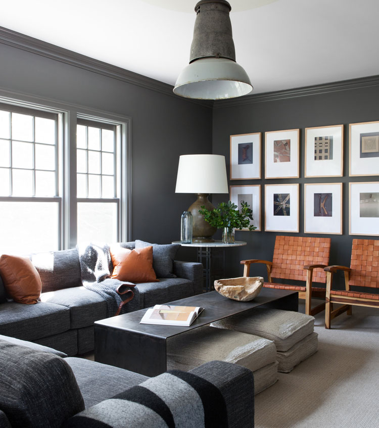 Manly Decor Living Room