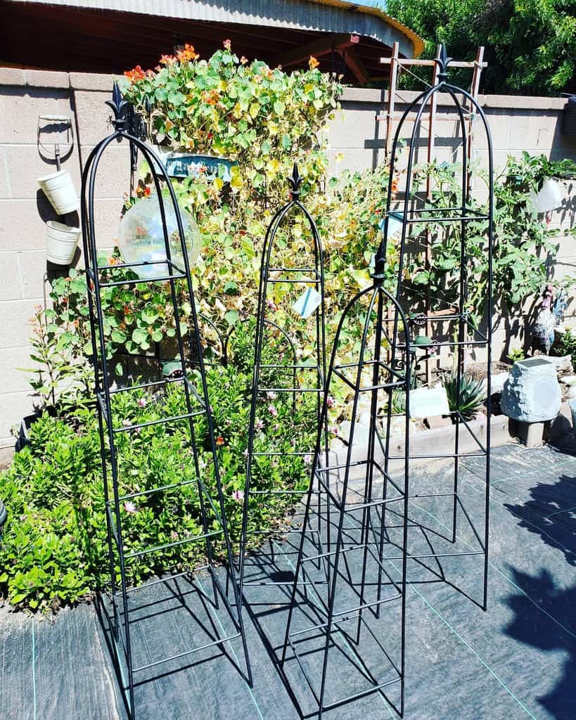 small metal garden trellis