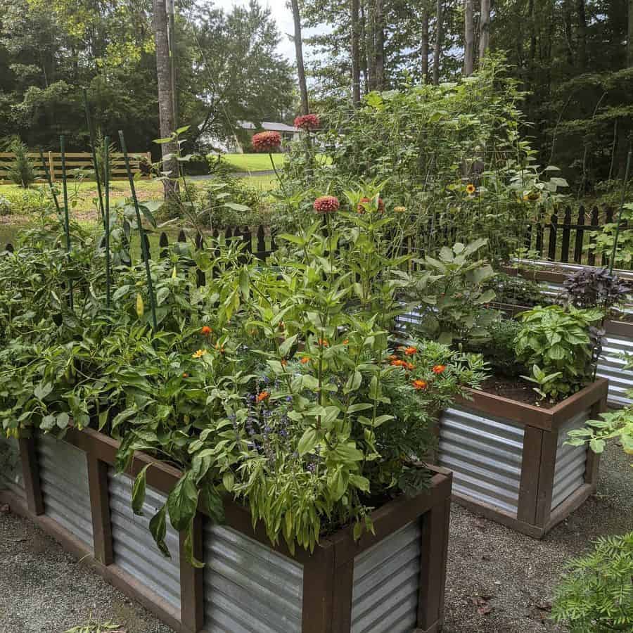 narrow metal and wood garden beds